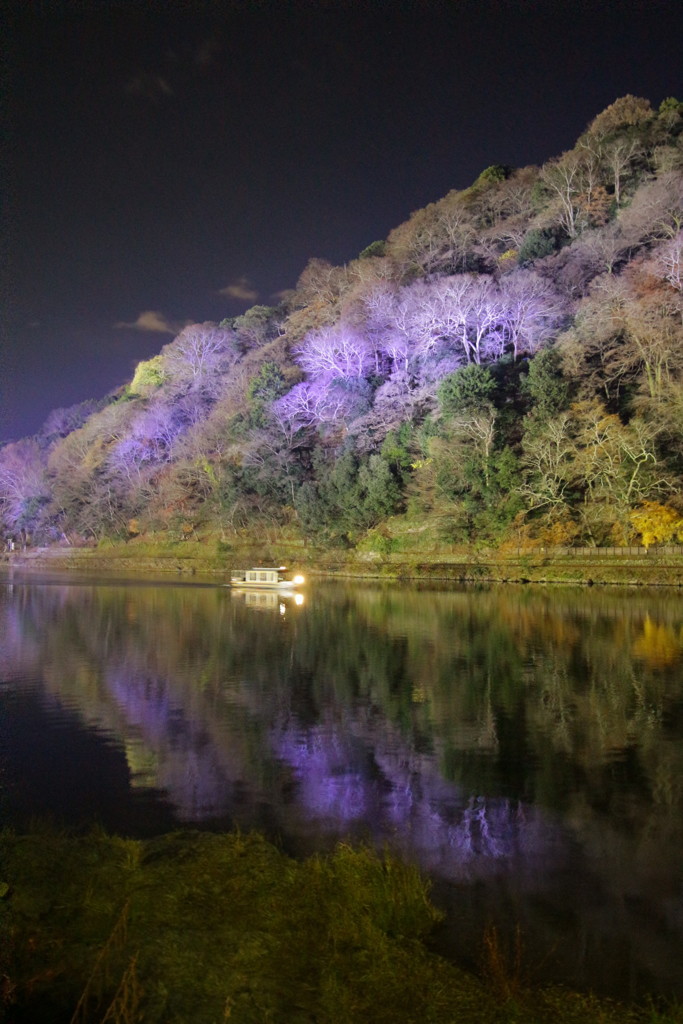 嵐山花灯路2016(6)