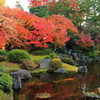 城南宮の紅葉(1)