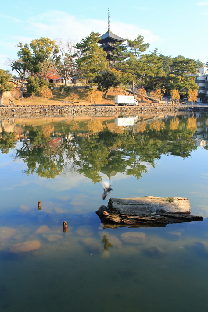 猿沢池