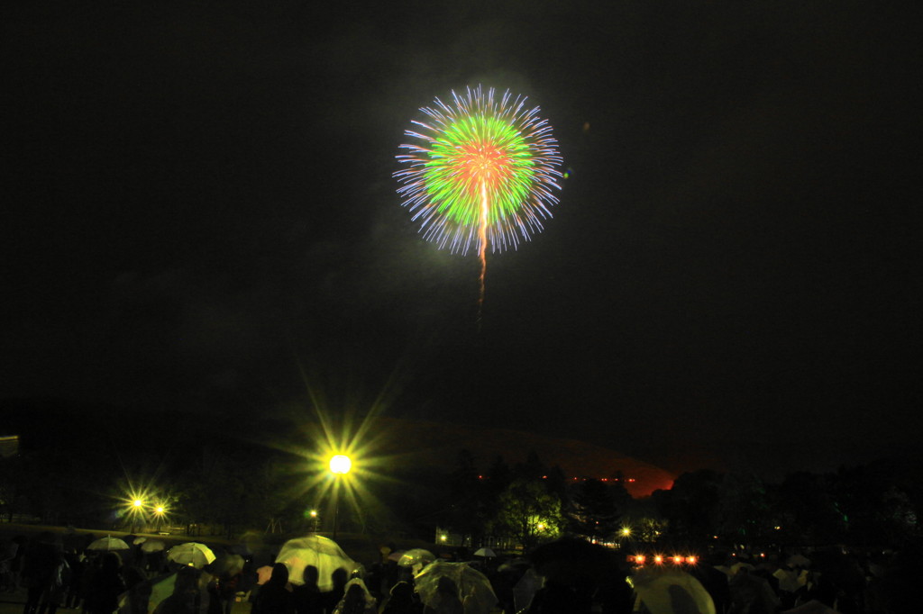 若草山山焼き　花火(1)