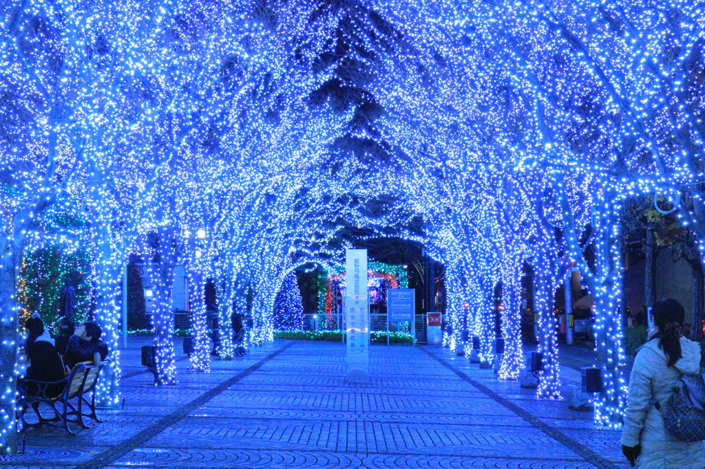 京セラのイルミネーション①