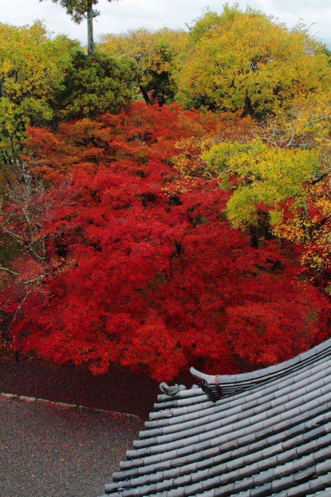 南禅寺の紅葉(3)