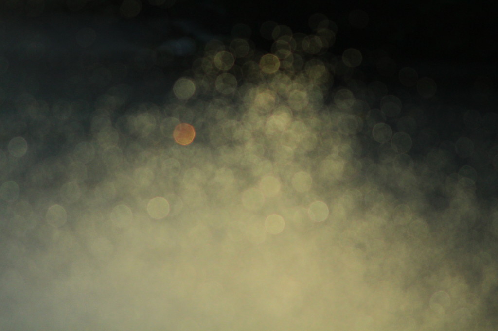 SPLASH(5)