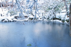 雪の池
