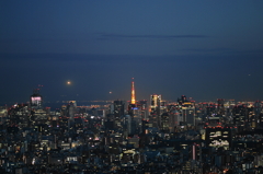 東京タワーと高層ビル群2