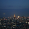 東京タワーと高層ビル群2