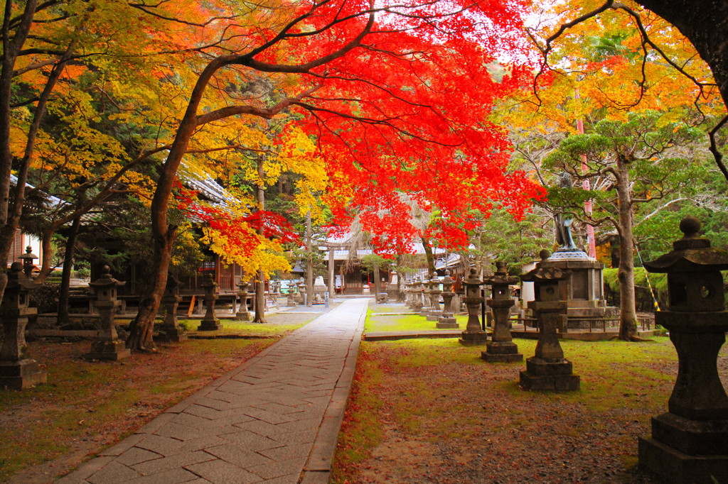 箕面公園の辨財天の紅葉