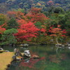 天龍寺の庭園(3)