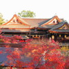 北野天満宮の紅葉(2)