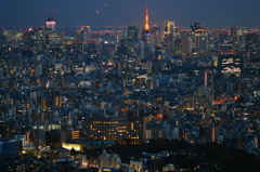 東京タワーと高層ビル群1