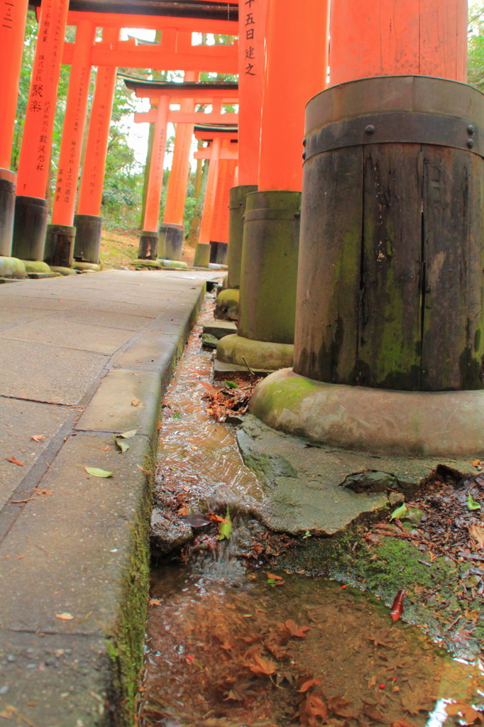 鳥居の中の水路