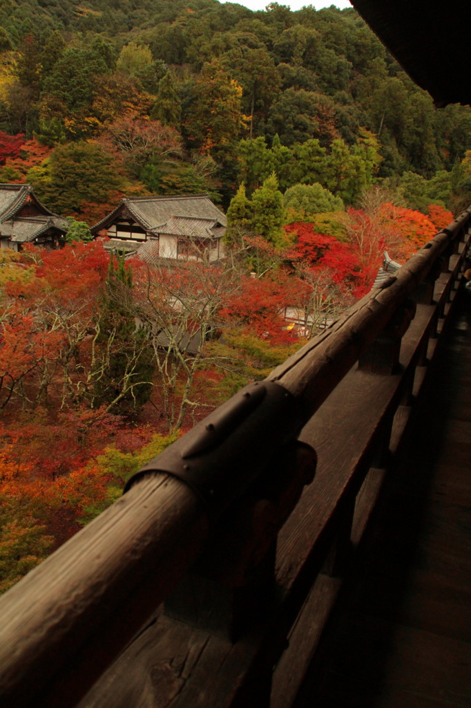 南禅寺の紅葉(2)