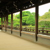 梯（かけはし）