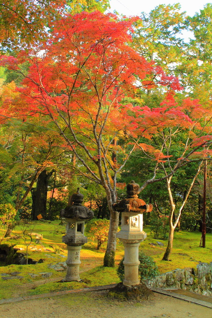 西明寺の紅葉(3)