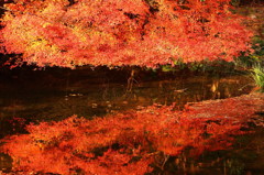 比叡山ふもとの紅葉