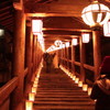 長谷寺　万灯路
