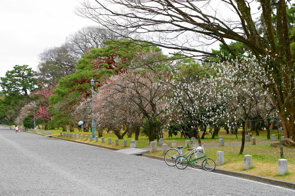 京都御所(1)