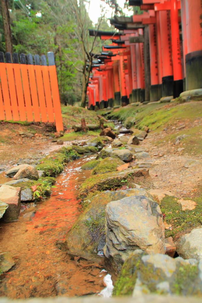 鳥居脇の小川