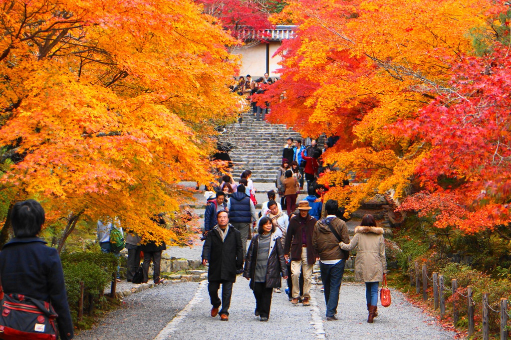 二尊院参道の紅葉
