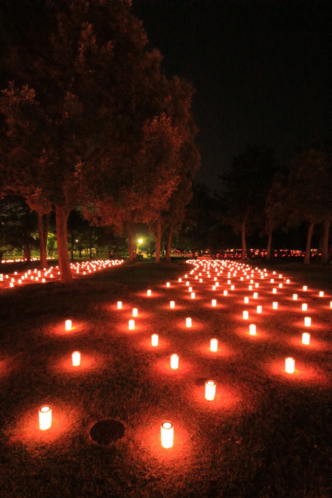 なら燈花会2016(4)