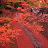 北野天満宮の紅葉(8)