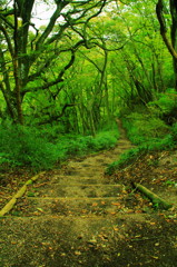 葛城山　登山道