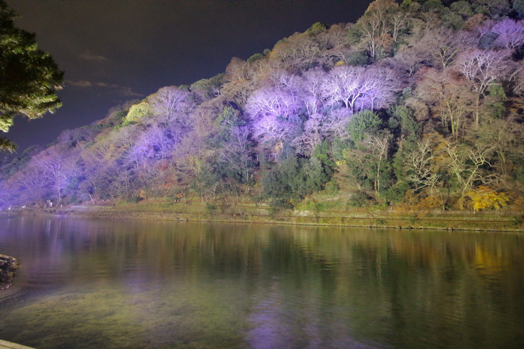 嵐山花灯路2016(7)