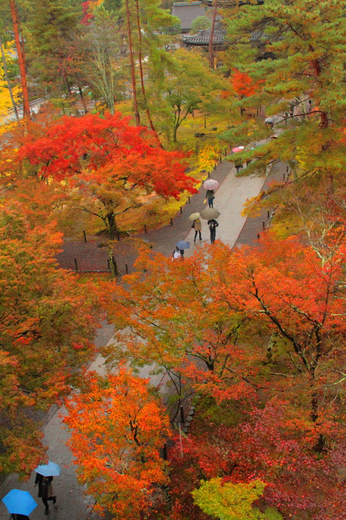 南禅寺の紅葉(1)