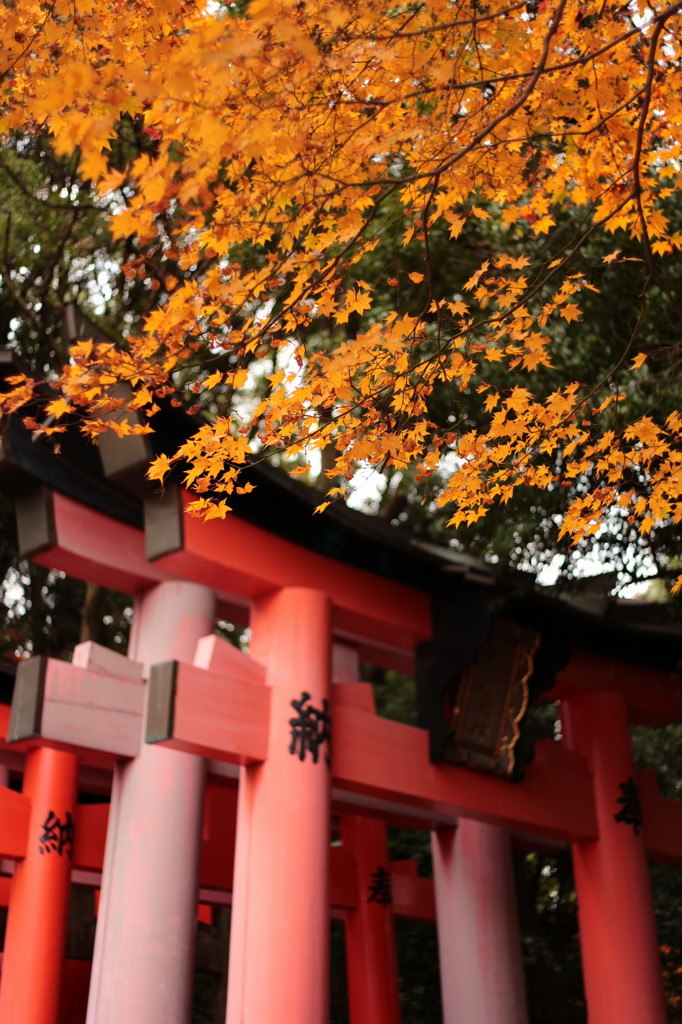 秋の終わりに(1)