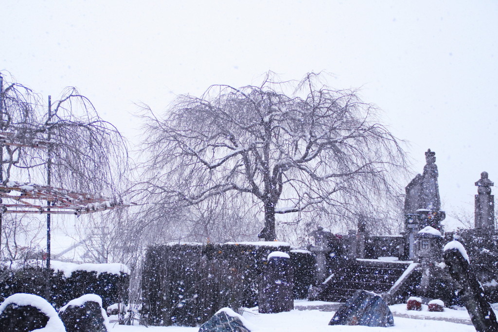 吹雪く