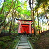 伏見稲荷の奥地にて