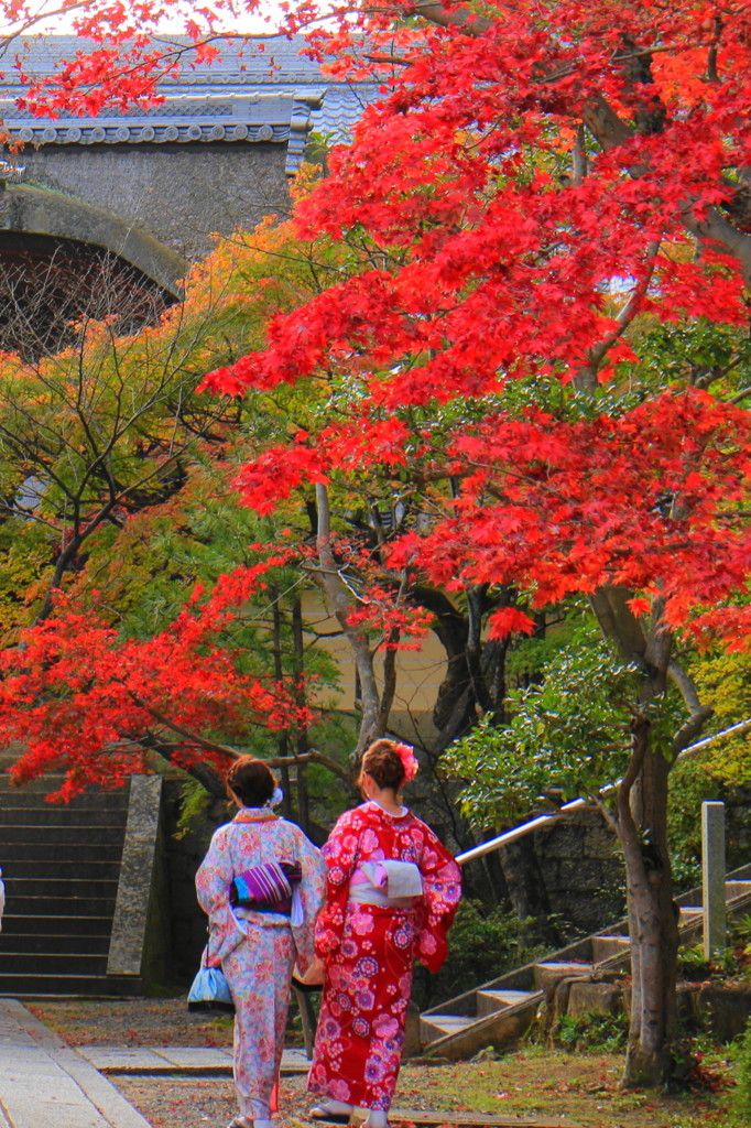 光明寺の紅葉(7)