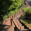 青葉の階段