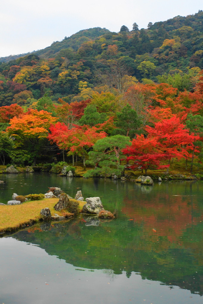 天龍寺の庭園(2)