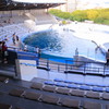 イルカショースタジアム