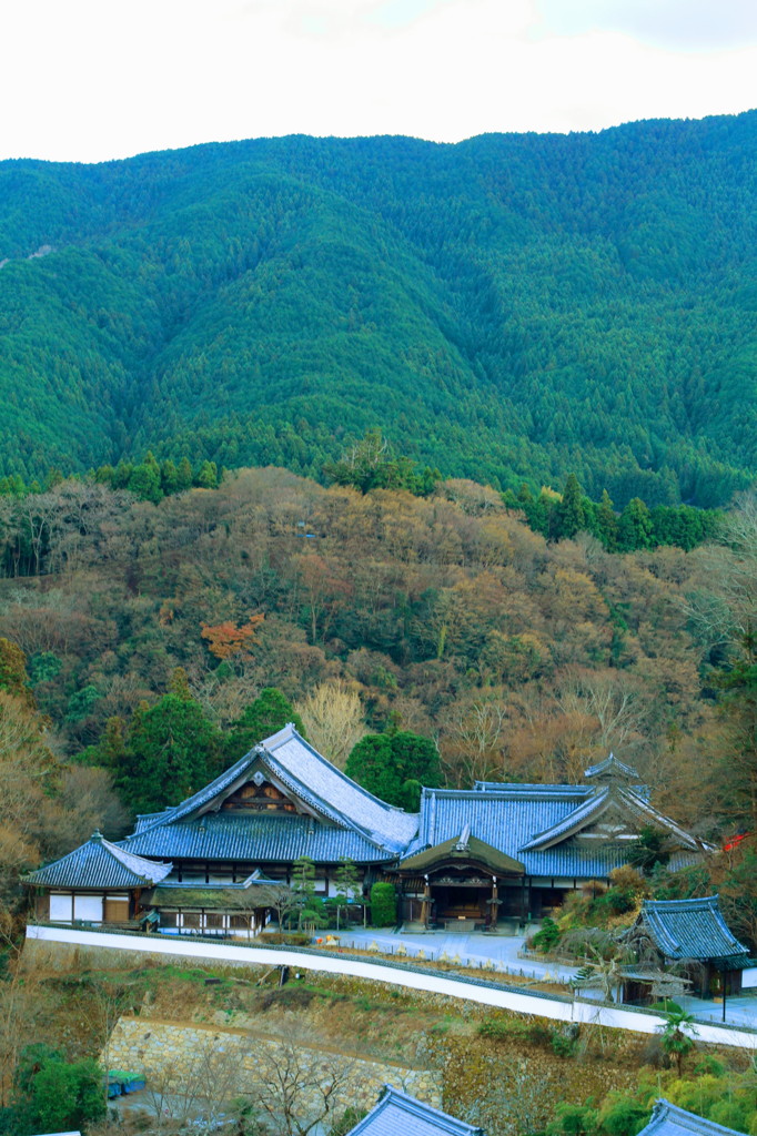 長谷寺の舞台より
