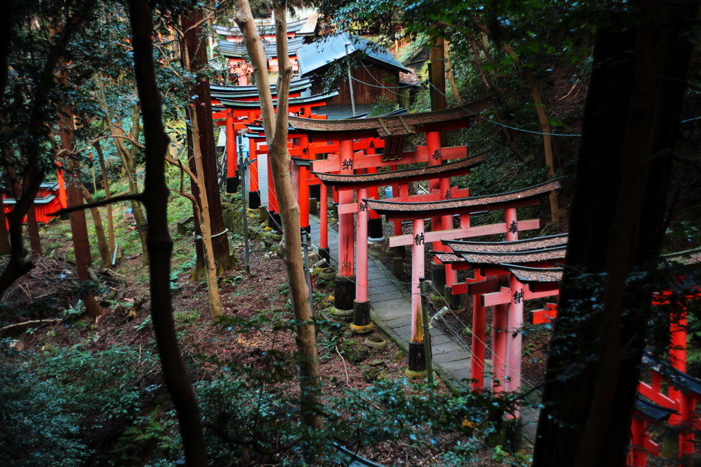 伏見稲荷の奥地にて