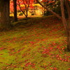 城南宮の紅葉(3)