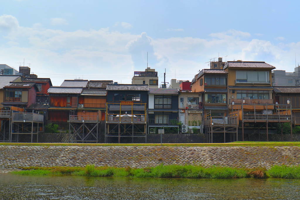 鴨川沿い