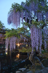 天王川公園