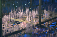 天王川公園