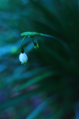 滴