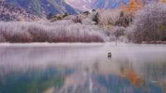 寒い朝にⅠ