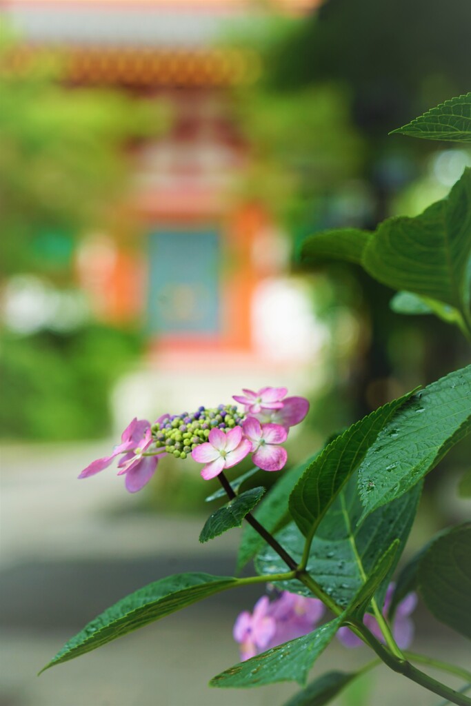 雨宿り