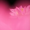 やっと会えたね