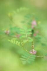 これからは雨