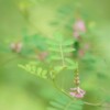 これからは雨