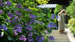 うまく撮れました？