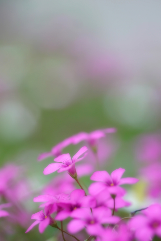 雨が止んで