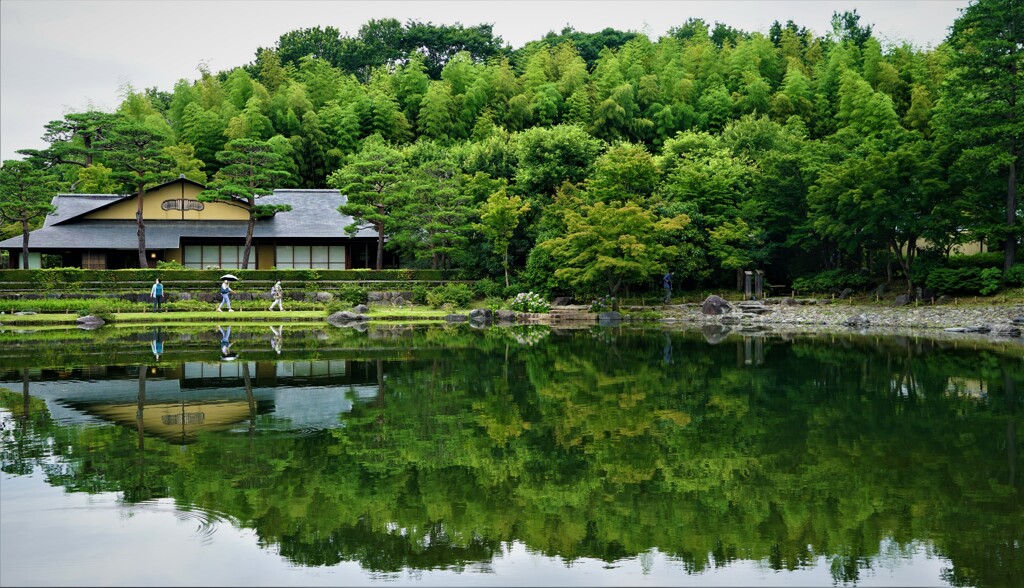 梅雨の中休み